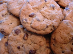 pumpkin chocolate cookies